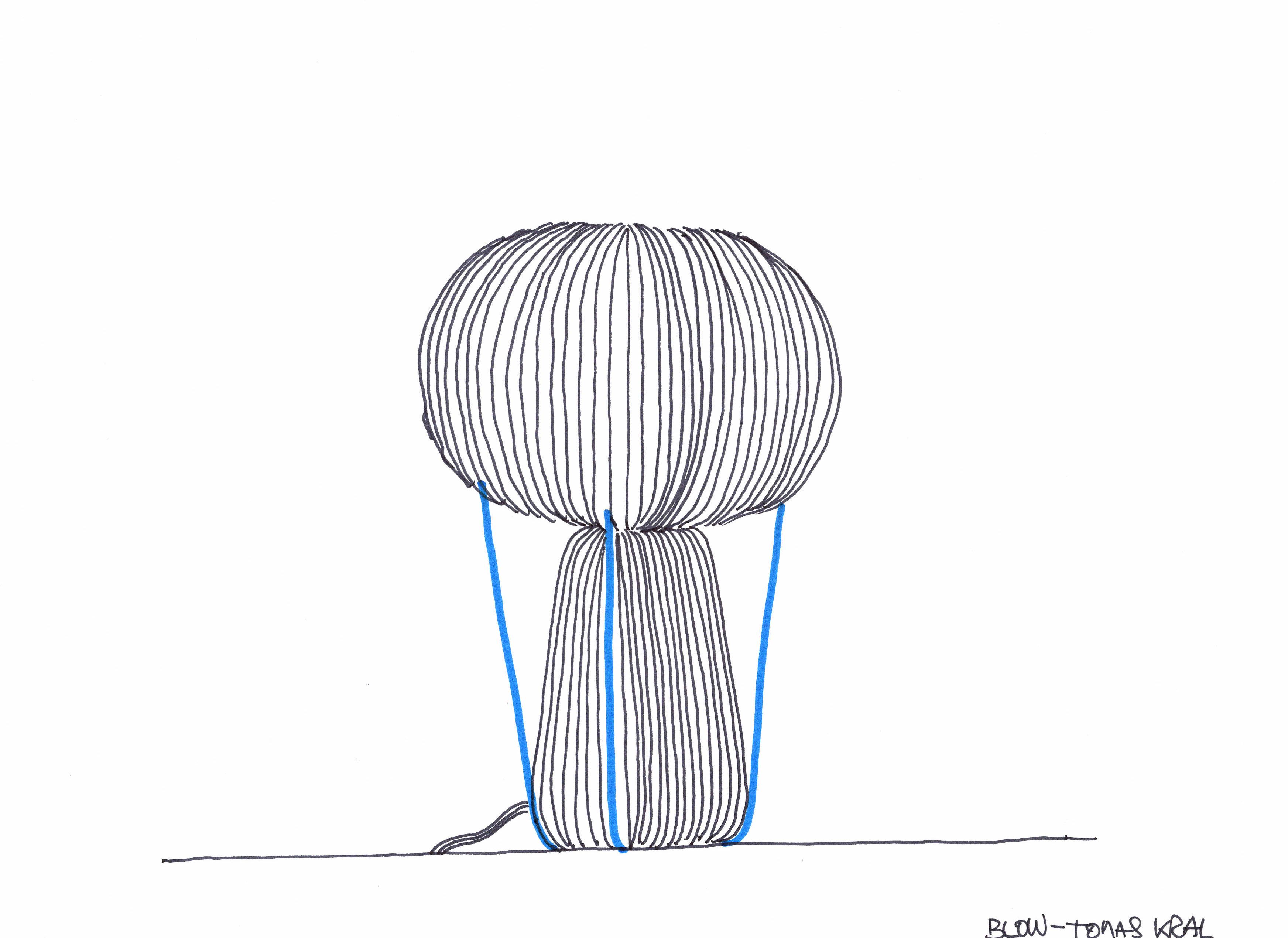 Blow image