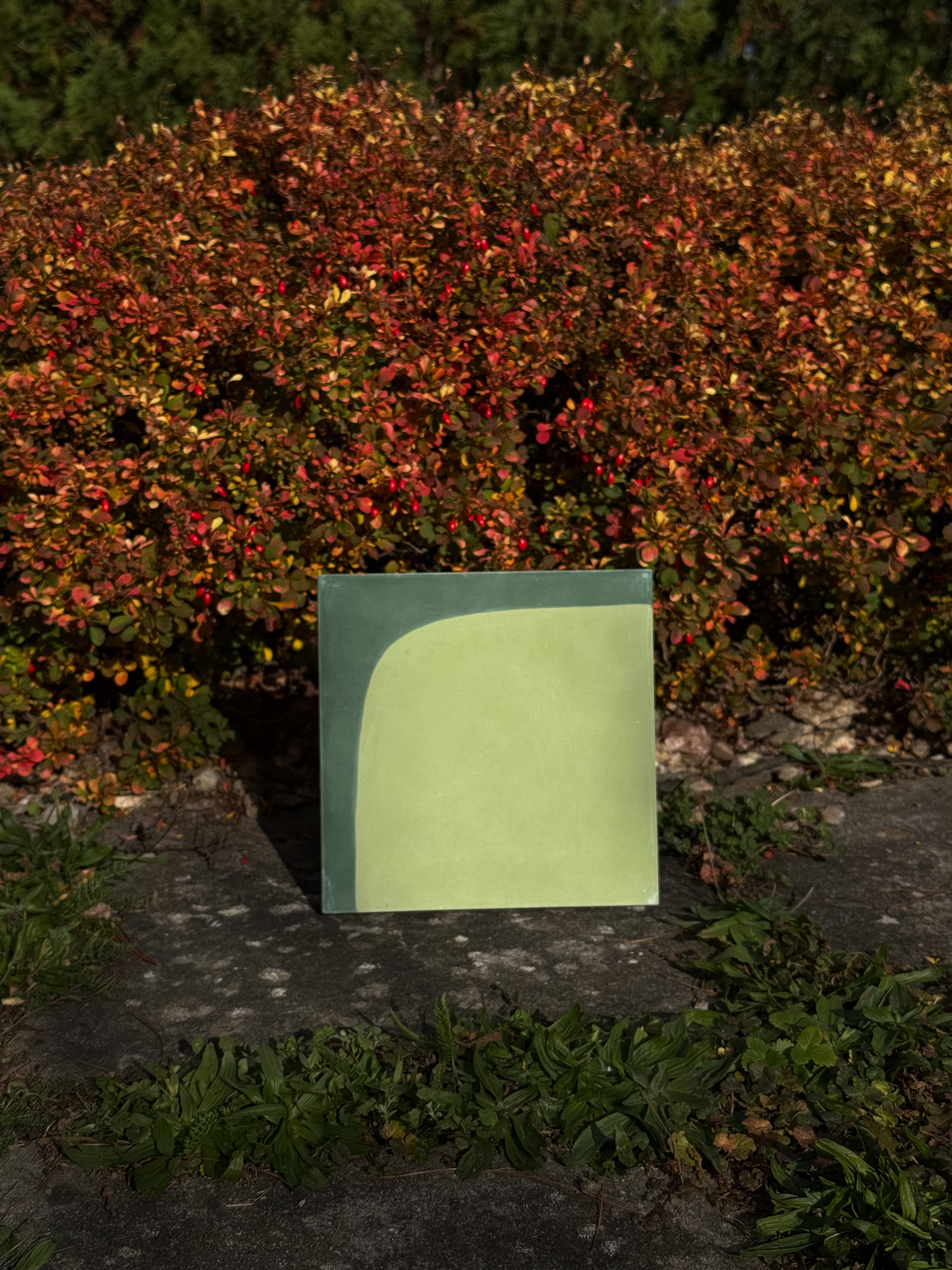 Manu Tiles Collection image